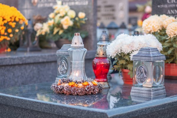 Kapaviečių priežiūra: ką reikia žinoti?