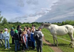 Atradimų kupina vasaros stovykla