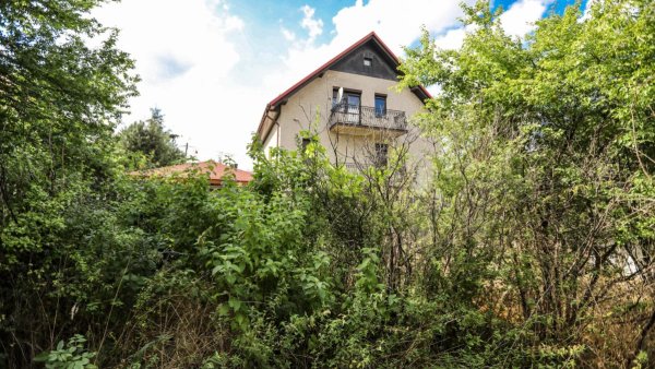 Informacija gyventojams dėl neprižiūrimų ir apaugusių sklypų tvarkymo