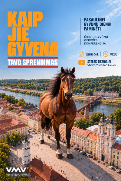 Kvietimas dalyvauti konferencijoje „Kaip jie gyvena. Tavo sprendimas“